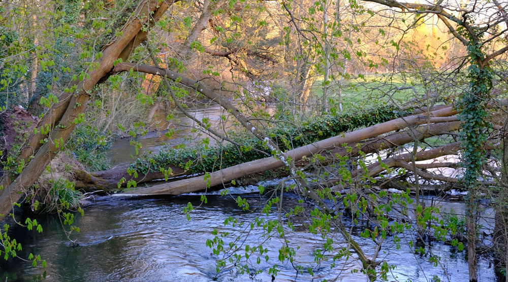 Flooding in Newbury